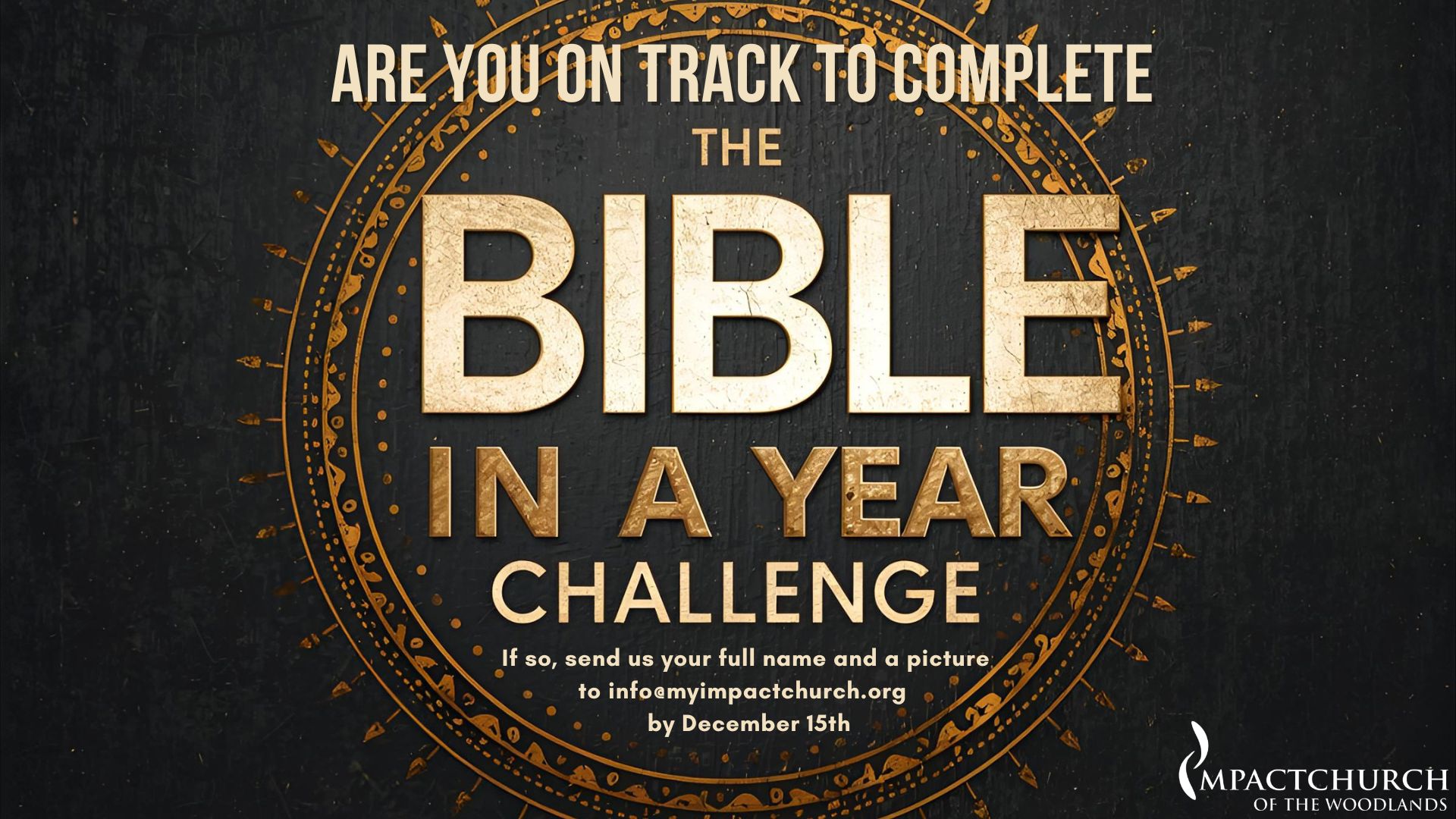 2025 Bible in a Year Challenge (5)